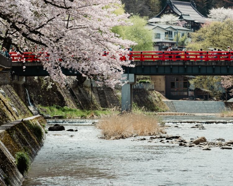 岐阜県高山市川の風景
